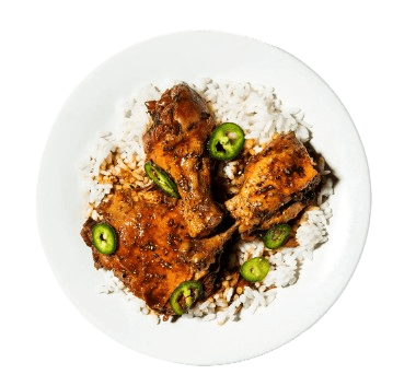 Adobo with rice on a plate